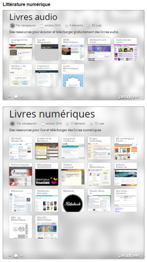 litterature numerique