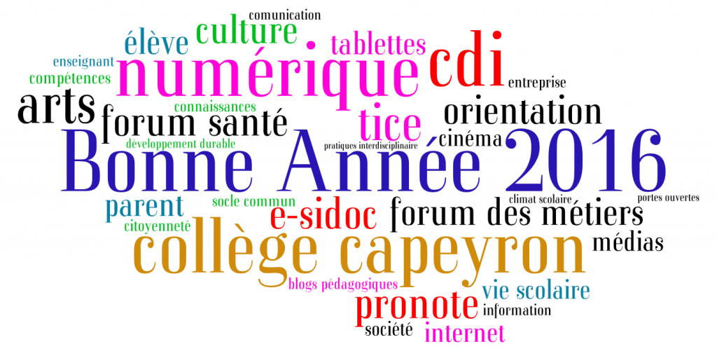 Bonne-Ann-e-2016-college